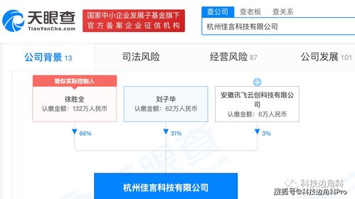 科大讯飞投资AI产品研发公司佳言科技,持股3